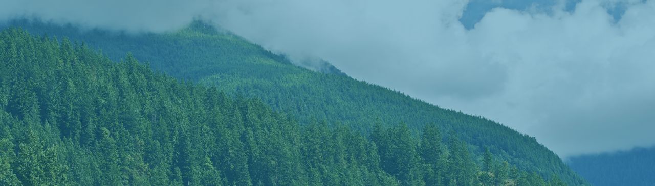 Select Image